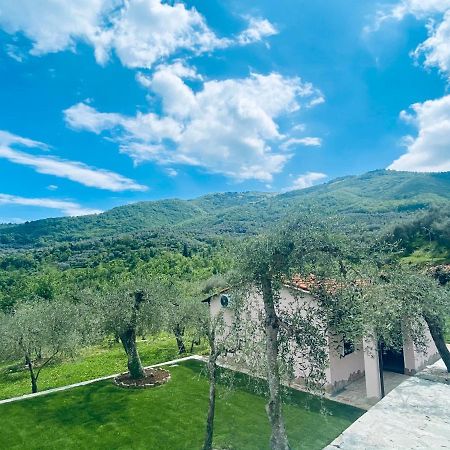 Casa Vacanze Gli Ulivi Borgomaro Exterior foto