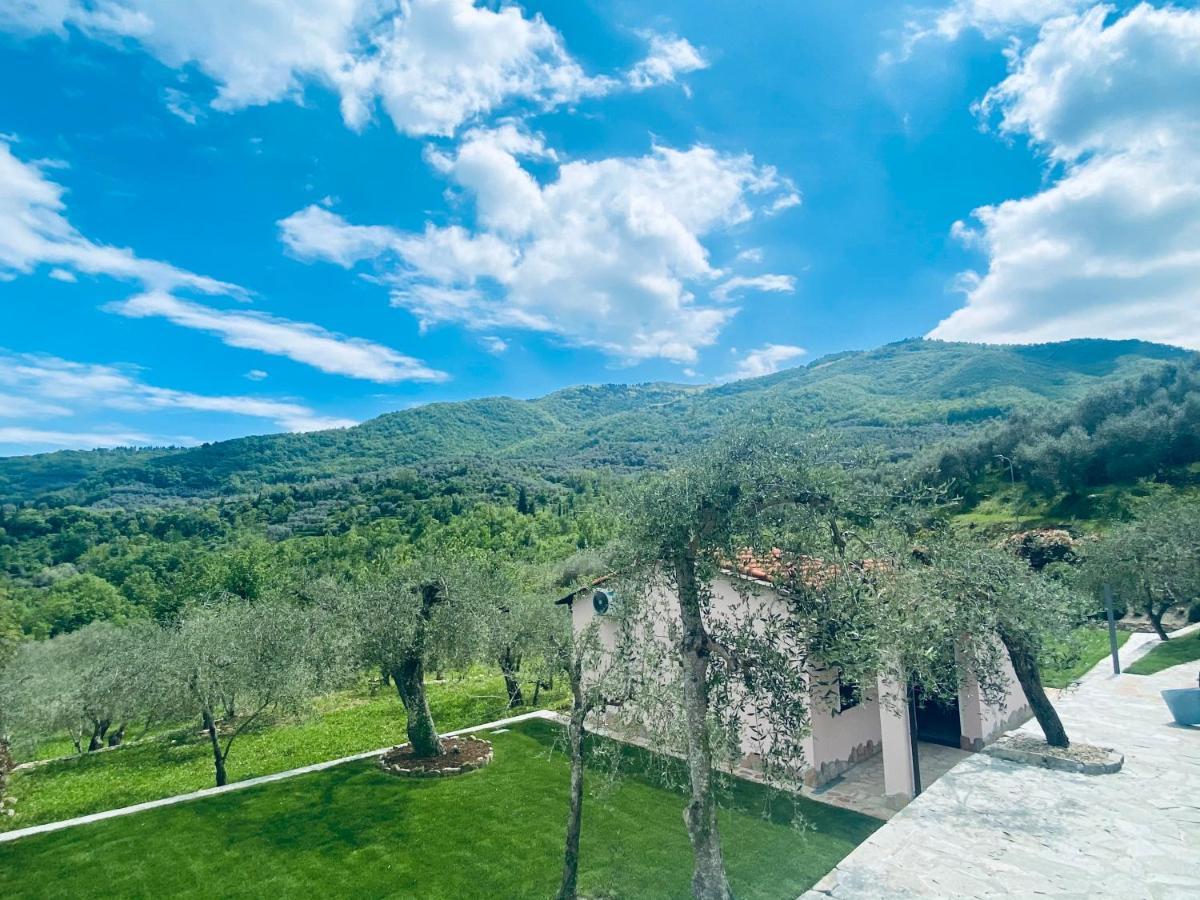 Casa Vacanze Gli Ulivi Borgomaro Exterior foto