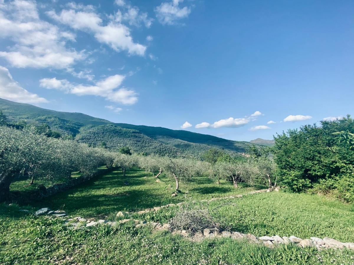 Casa Vacanze Gli Ulivi Borgomaro Exterior foto