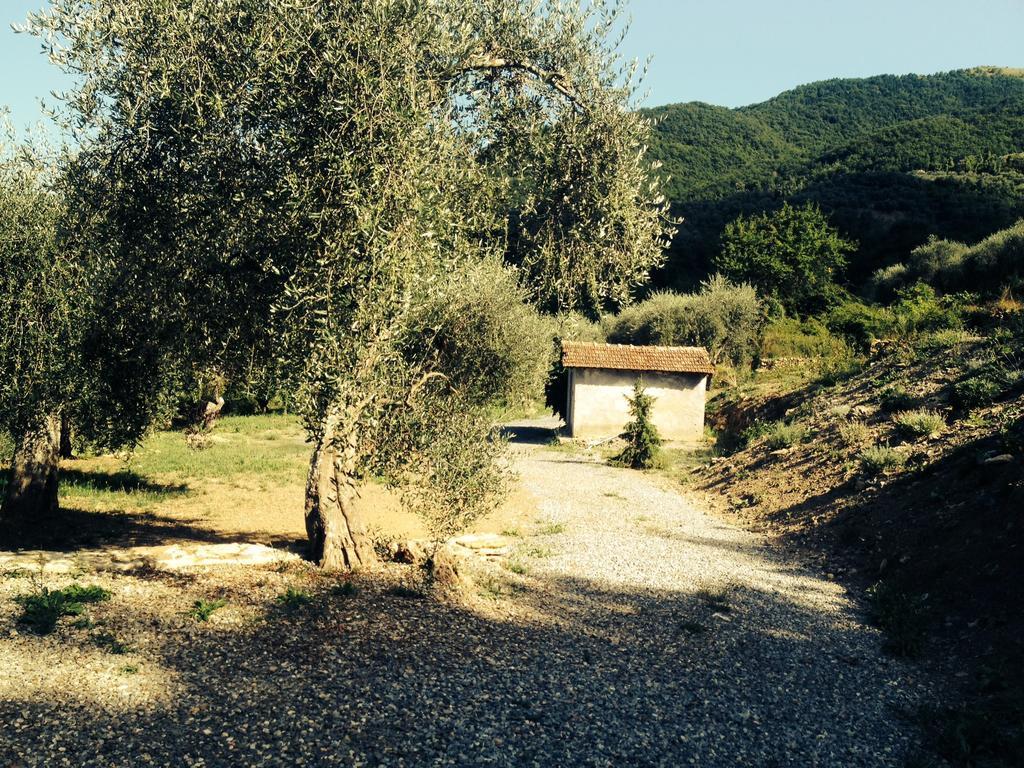 Casa Vacanze Gli Ulivi Villa Borgomaro Cameră foto